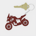 DUCATI MULTISTRADA V4