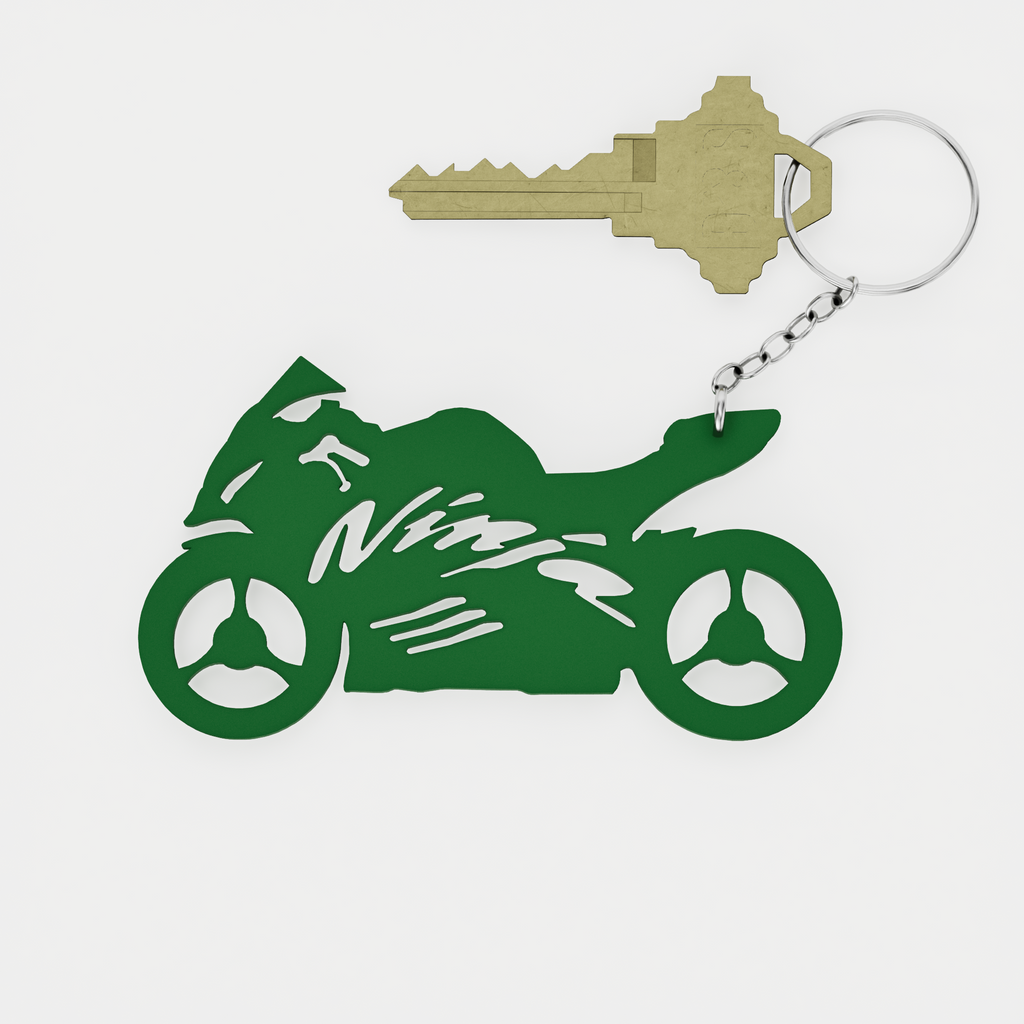KAWASAKI NINJA 1000s