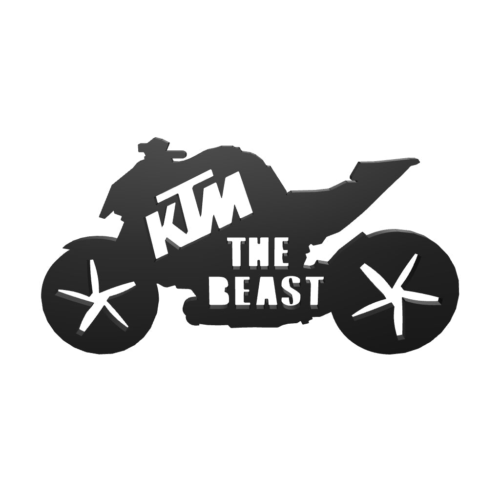 KTM 1390 SUPER DUKE R EVO - THE BEAST