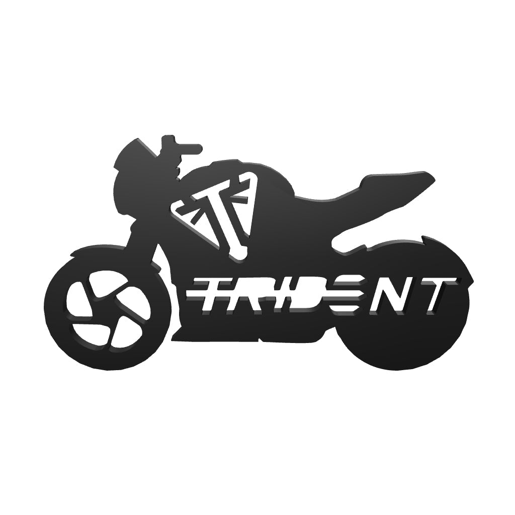 TRIUMPH TRIDENT 800